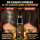 Shampoo Pinta Canas Disaar