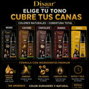 Shampoo Pinta Canas Disaar
